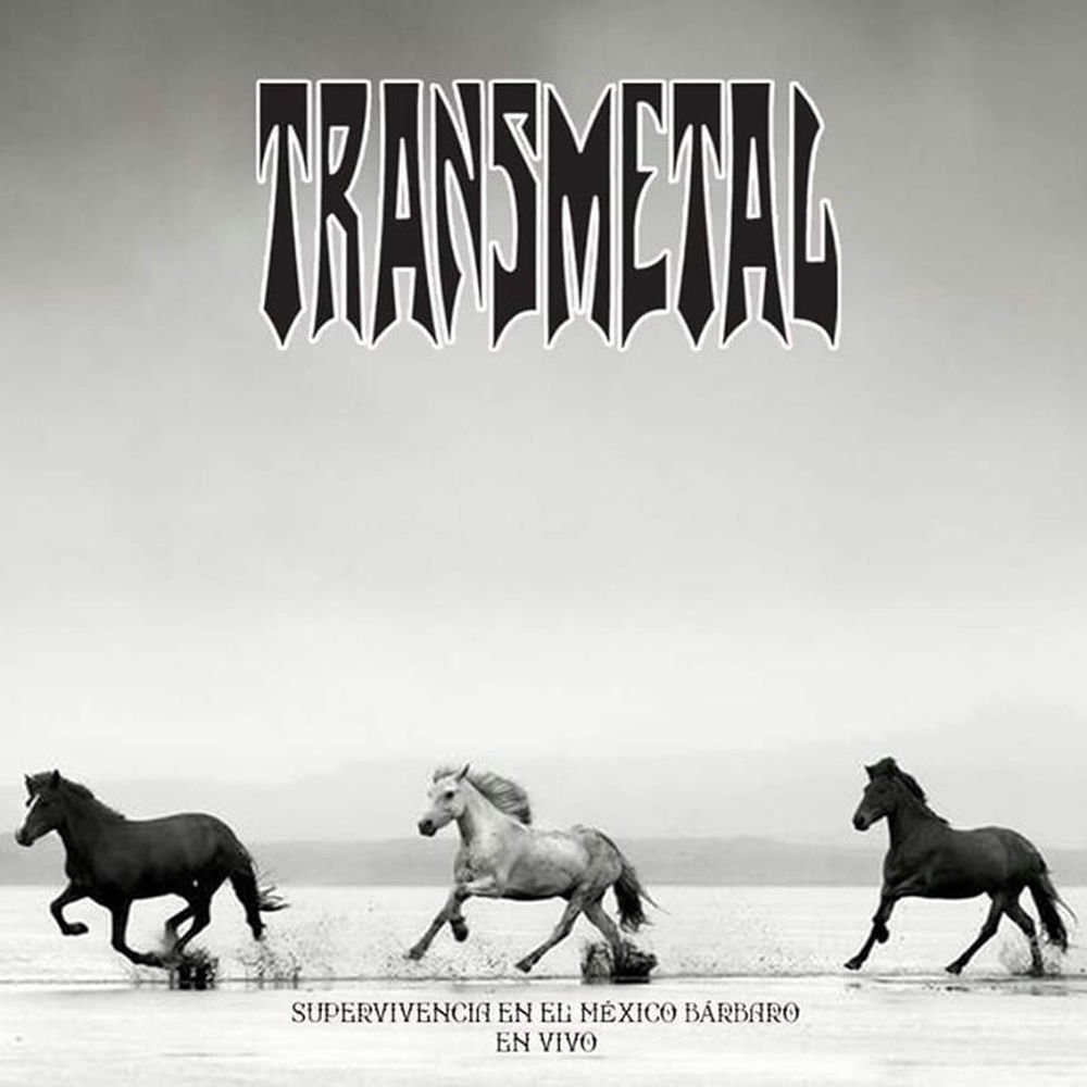 Transmetal